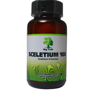 Sceletium Capsules – Natural and Traditional mood stabilizer
